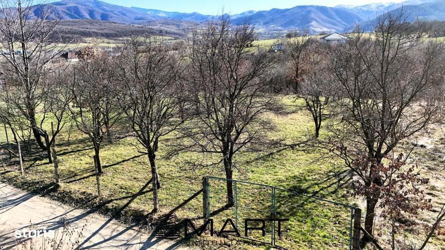 Teren intravilan 1000mp Padurea Dumbrava - 2