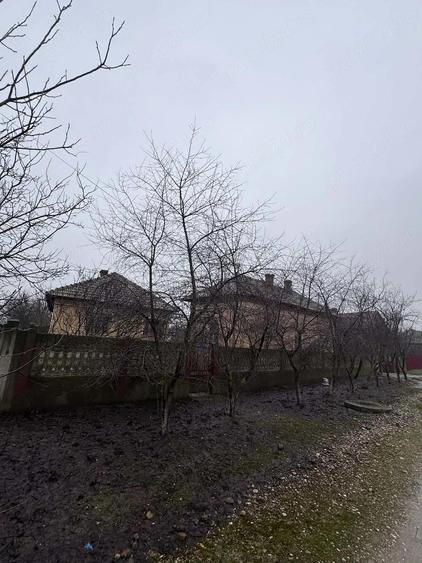 Casa de vanzare - 3