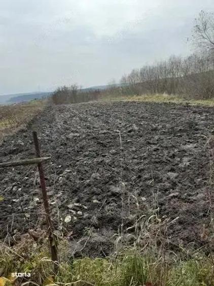 Casa + Teren Vanzare - Rediu, Judetul Cluj - 2