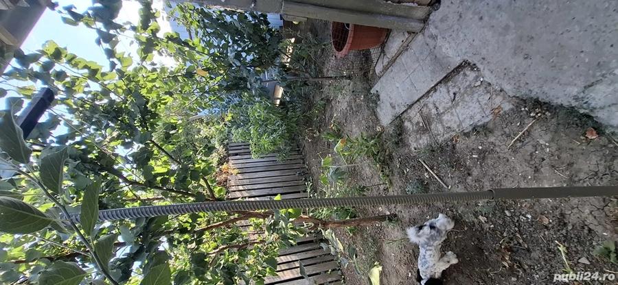 casa de vanzare - 6