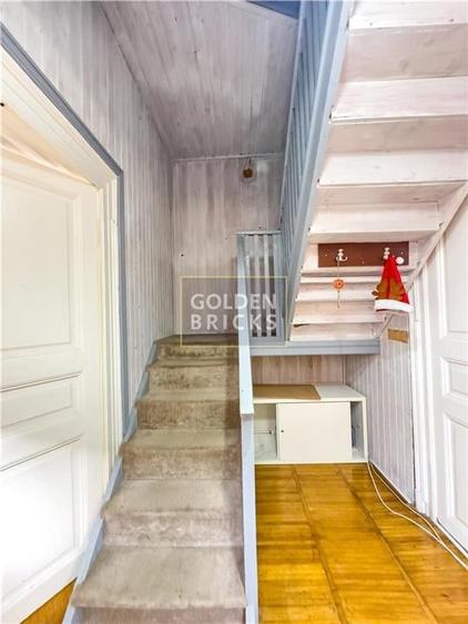 Pache Protopopescu | PROTV | Vizibilitate |  Curte 250 mp | Garaj - 19