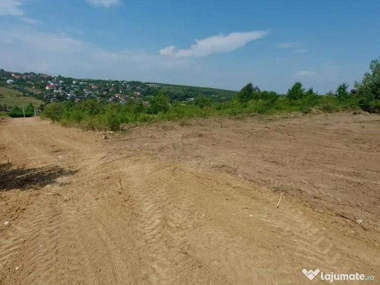 Teren intravilan , Bucium Barnova - 1