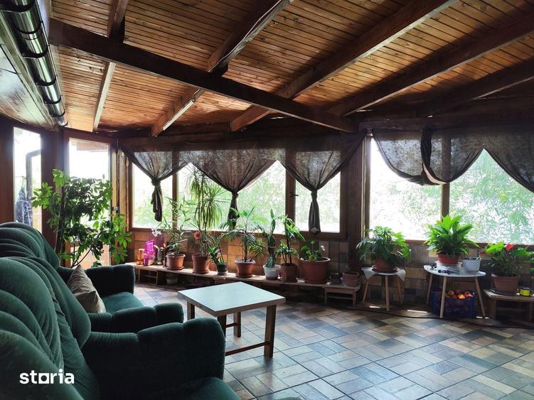 Balta de Pescuit | Cabana din Busteni | Teren 6,37 ha | langa Oradea - 10