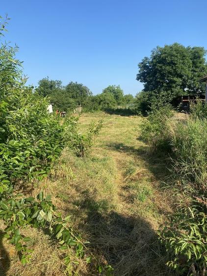 Spațiu comercial, în Teiș