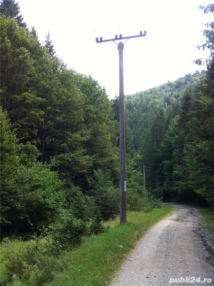 Teren de 4200 mp, în Rășinari