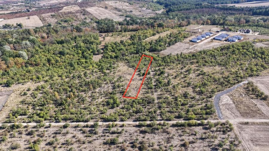 Teren Construcții intravilan de 2200 mp, în Paleu