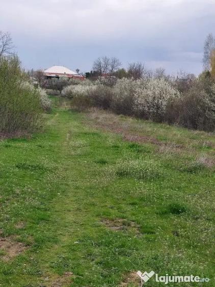 Teren în Central