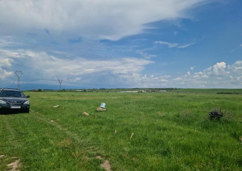 Teren extravilan, str. Ciocarlau - 3