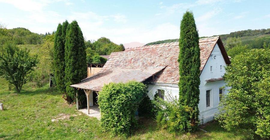 Casa de vacan?a in sat sasesc, Moarda? jude?u... - 11