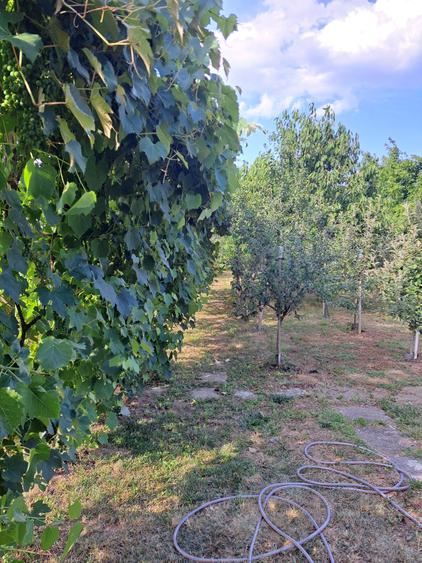 VILA IN REGIM DE INALTIME PARTER SI ETAJ ULTRAFINISATA PE 19 ARI TEREN - 10