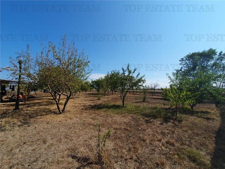 Teren intravilan agricol si teren curti constructii Lot 2 Parcela A326/49 - 15