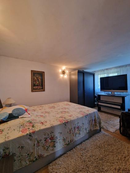 Casa de vanzare - Dobreni - Vidra - teren 2444 mp - intravilan - stradal/central - 22