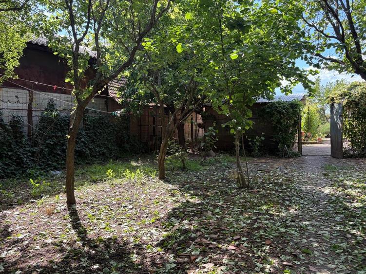 Casa de vanzare Alexandria - 6