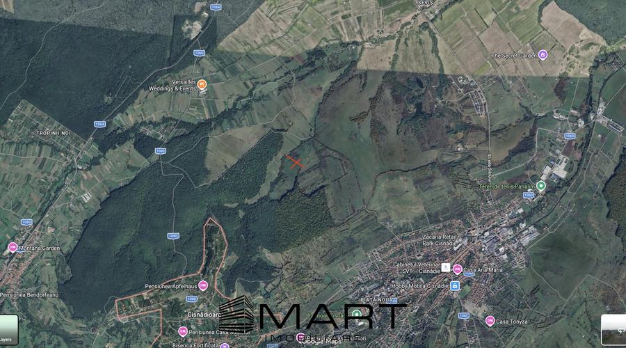 Teren extravilan agricol + fanata 21000mp Cisnadie - 1