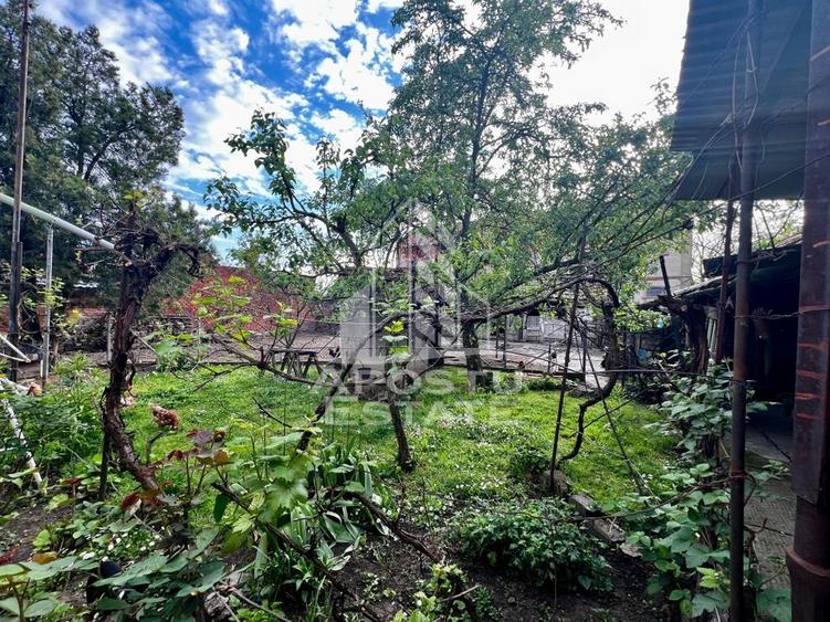 Casa cu 2 camere, 690mp in Battonya - 13