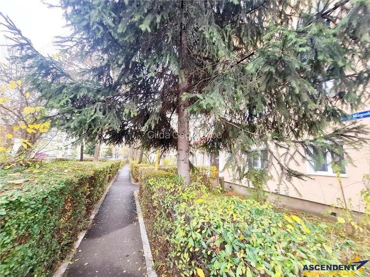 Cartierul Florilor, imobil renovabil, etaj intermediar, zona linistita, Brasov