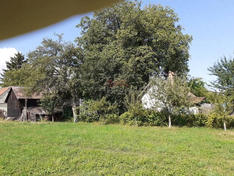 Casa 3 camere, teren 3625 mp, toate utilitatile, Sacele, Brasov - 4