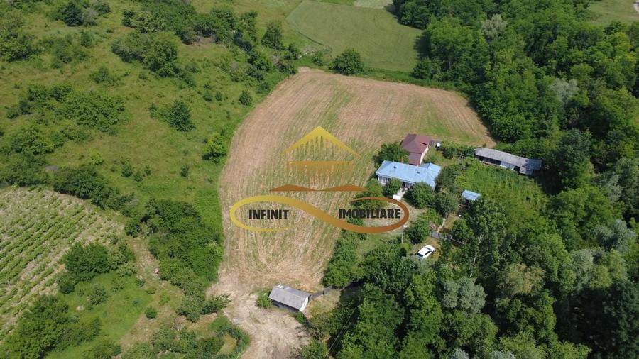 Casa batraneasca cu 2ha de teren de vanzare in sat Balaia / Bacau - 2