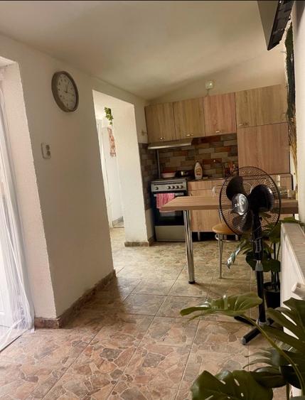 Casa individuală Gavril Musicescu . Timisoara  - 10