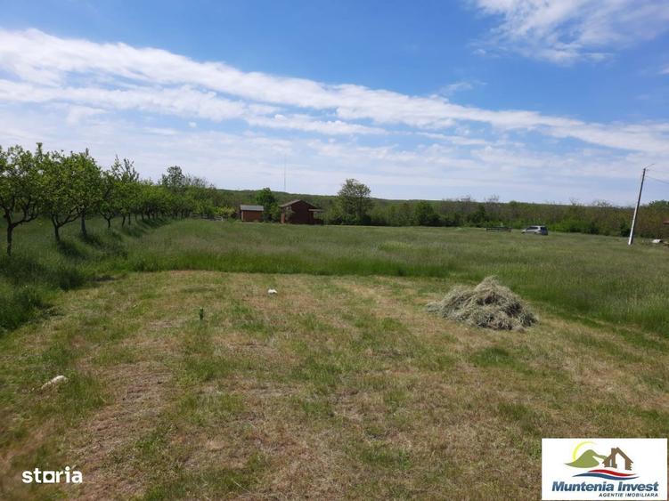 Teren 850 mp,Albota(Morlovani) - 3