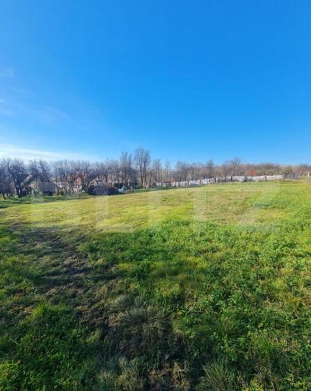 Teren intravilan, 2589 mp, Certificat de urbanism, Rediu, co - 1