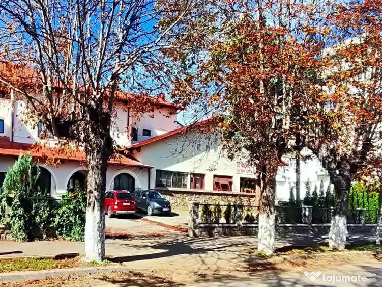 Spatiu comercial ultracentral, Campina, PH, Parc central, Bdul Carol I - 6