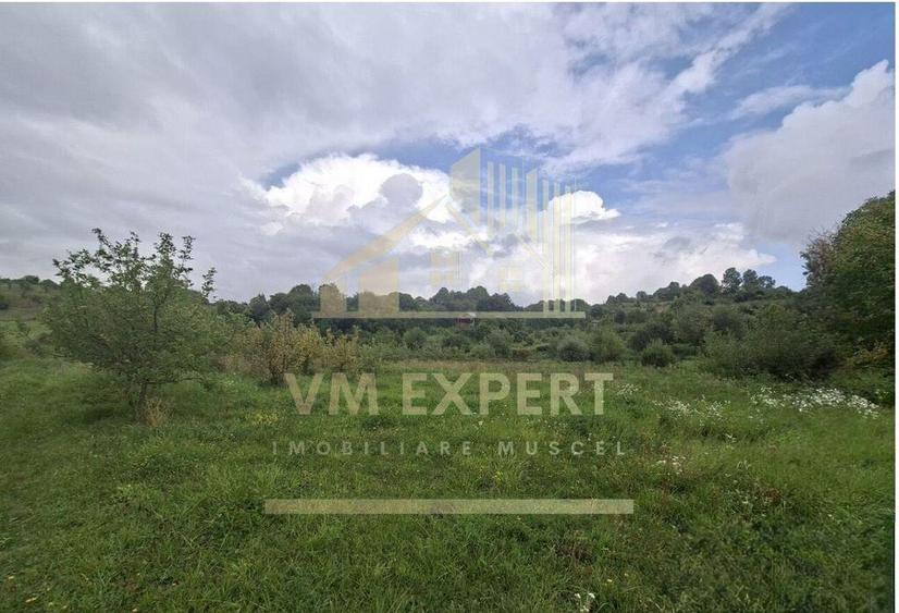 TEREN 20.621 MP CAMPULUNG - 10