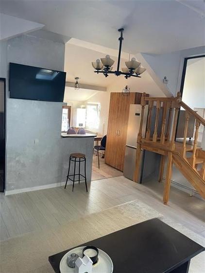 Studio deschis si la regim hotelier, priveliste frumoasa, pet friendly, loc parc - 4