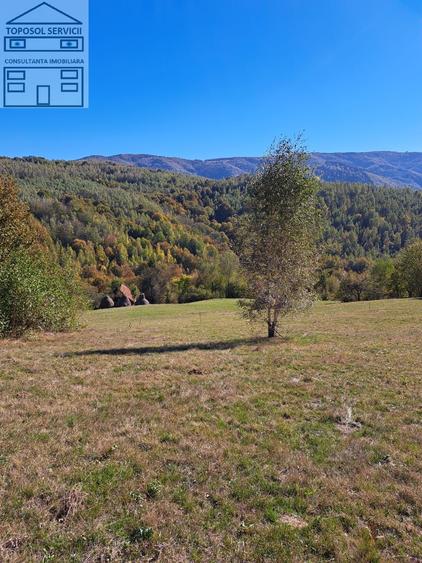 Teren extravilan in localitatea Bulz - 3