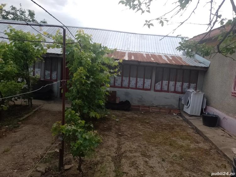 Vand casa in Amara judetul Buzau - 2