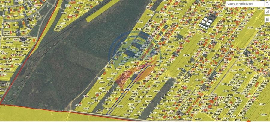 Teren intravilan in spate la Damila, spre padure, 95 euro/mp - 2
