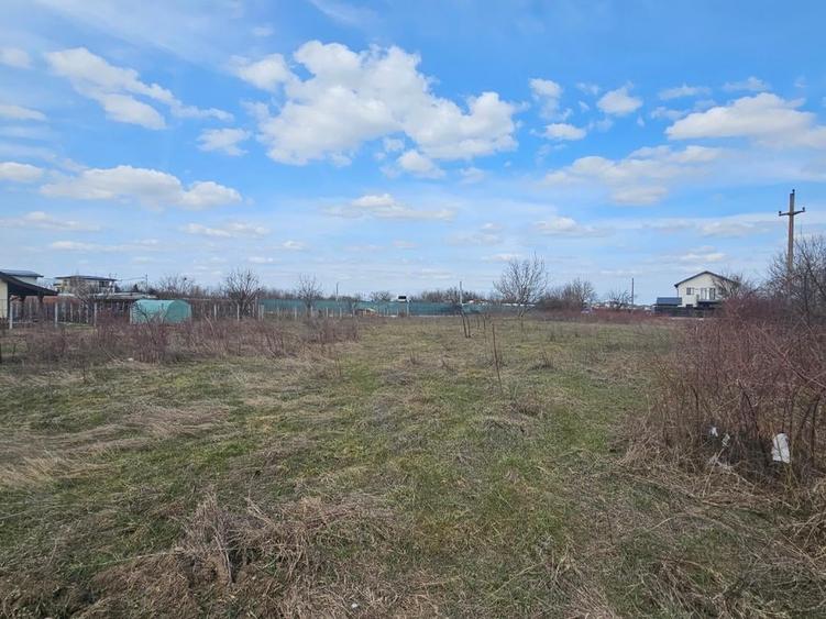 Terenuri de închiriat cu deschidere la DJ 100 – suprafețe generoase, acces TIR. - 8