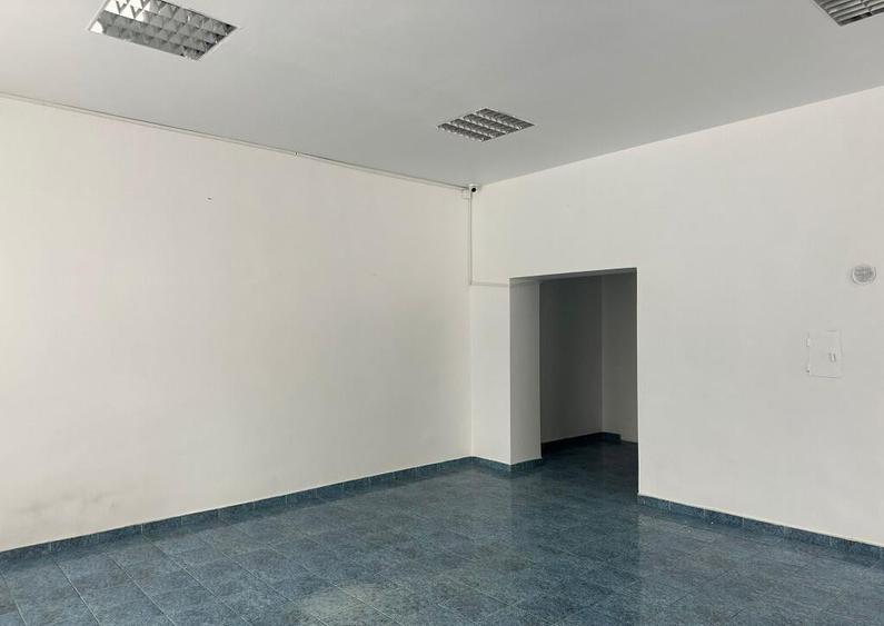 Spatiu Comercial zona Independentei - 5