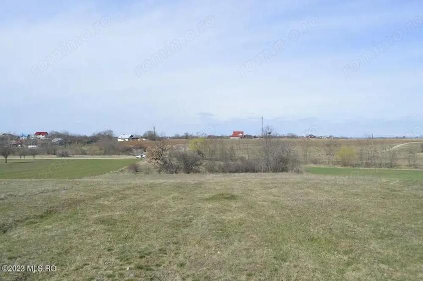 Suseni - Teren intravilan rezidential, suprafata 4000 mp - 10