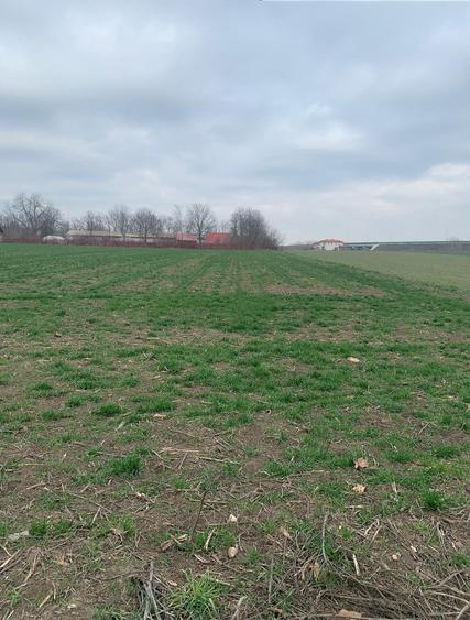 Vanzare Teren extravilan Afumati Autostrada A0 - 1