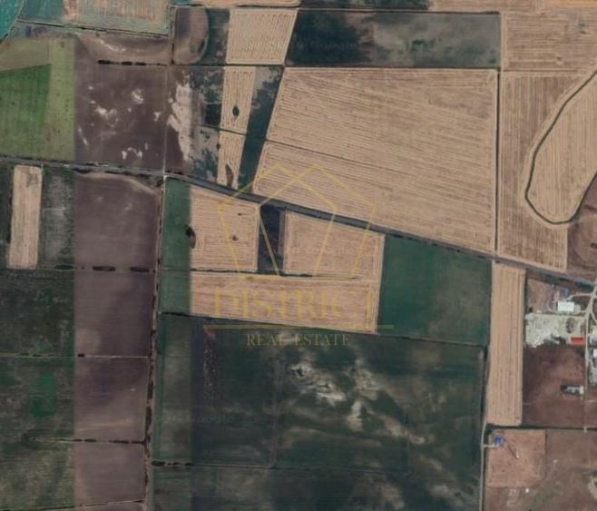 Teren extravilan la DN pentru PUZ | Sacalaz - 3