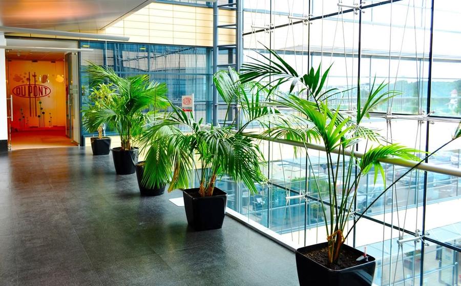 De inchiriat spatiu de birouri Baneasa Comision 0% - 11