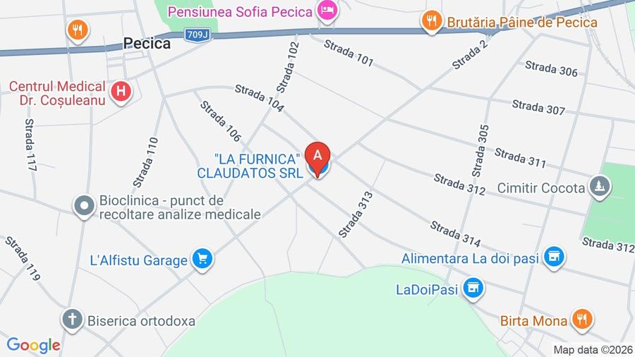 Casa de vanzara in Pecica ,,si coridor - 2