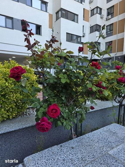 Apartament Central Adress Residence - 4