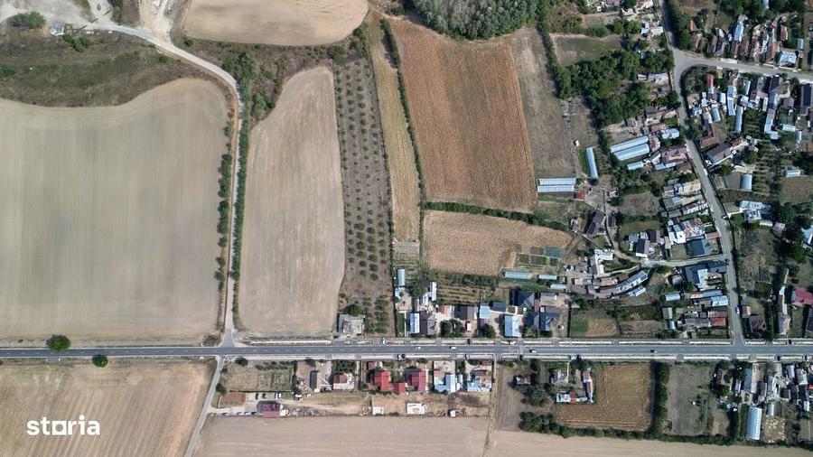 Vanzare teren 9654 mp, deschidere 27m, comuna Dobra, sat Dobra - 5