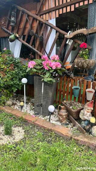 casa in localitatea Sanovita - 5