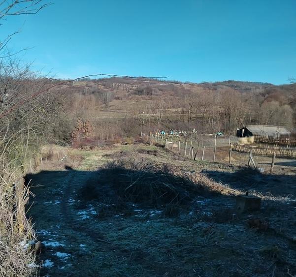 Teren de vânzare intravilan-extravilan  comuna Tigveni jud.Arges - 4