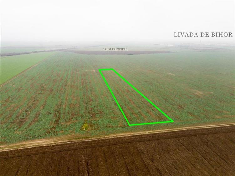 RECO Teren extravilan 5800 mp Livada de Bihor - 4