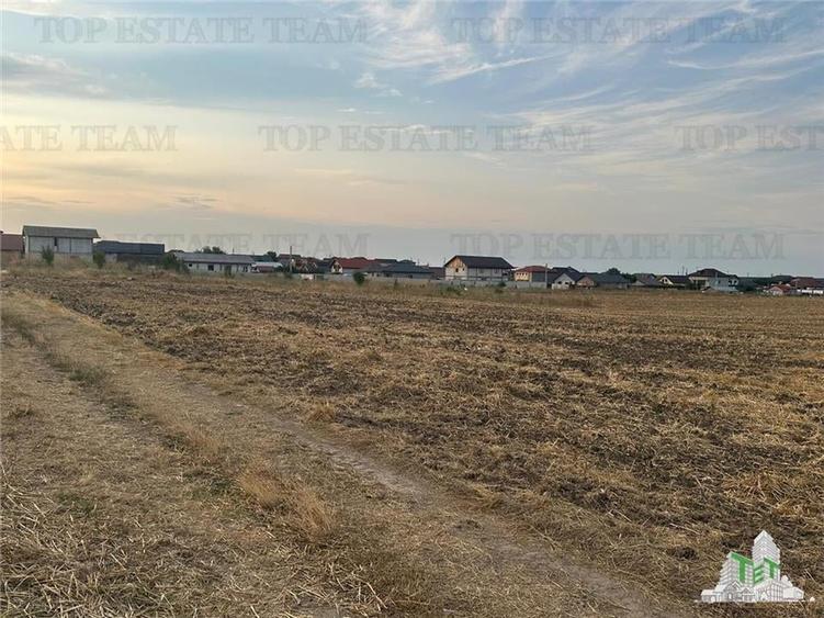 TEREN 2500MP BALACEANCA - 4