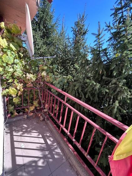 Casă individuală Buftea, 3.162 mp teren, ieșire spre lac - 34