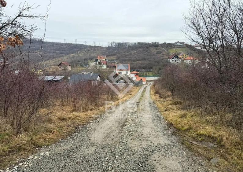 Teren 874 mp - zona Pico Verde - 4