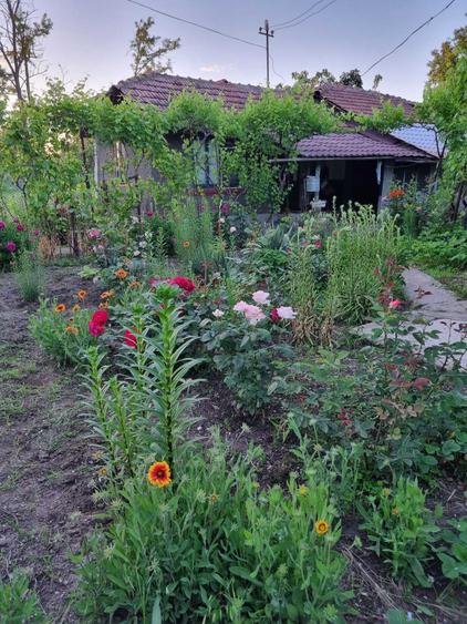 Casa cu teren, Boldesti-Gradistea, Sat Boldesti, jud. Prahova - 4