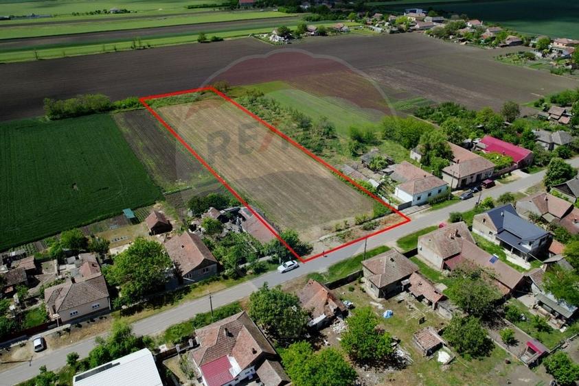 Teren intravilan 5,018mp Variasu Mare - 15 km de Arad/ str. Principala - 8