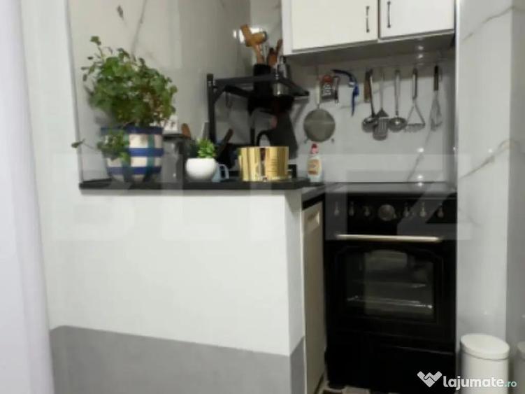 Garsoniera, 22 mp, etaj intermediar, cartier Burdujeni - 2