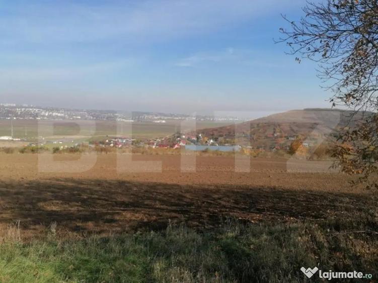 Teren extravilan 5000 mp, Uricani - 3